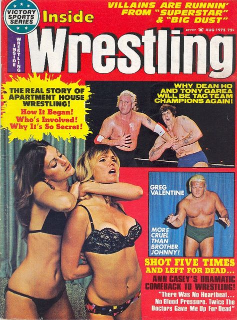 August 1975 Apartment Wrestling, Barry Windham, Kerry Von Erich, Catfight Wrestling, Girls Apartment, Weird Vintage, Hulk Hogan, Sports Figures, Women's Wrestling