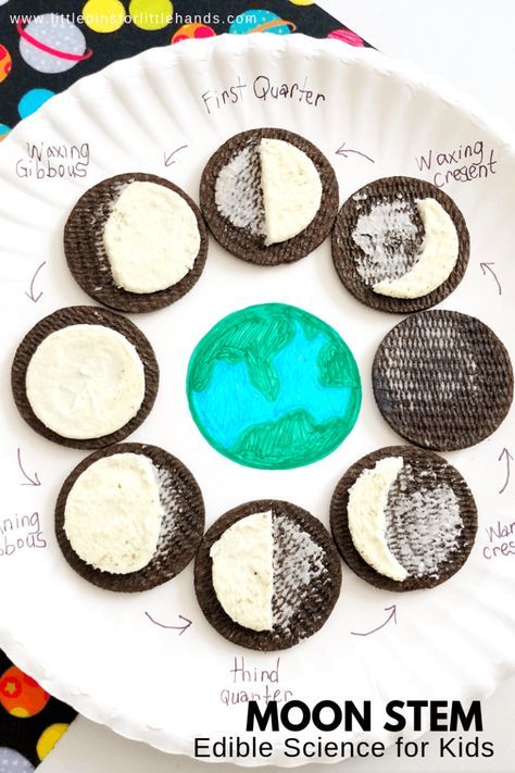 Moon Phases Activity, Oreo Moon Phases, Moon Phases Activities, Cc Cycle 2, Space Unit, Moon Crafts, Kid Experiments, Science Projects For Kids, Kids Science