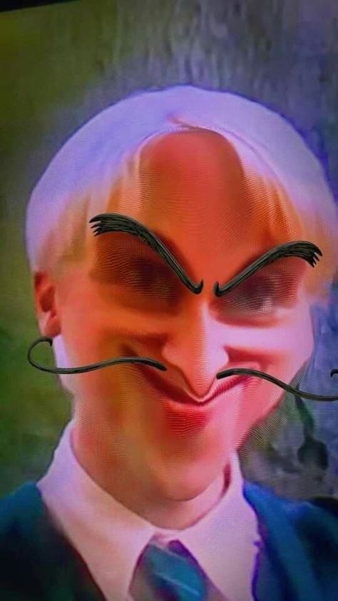 Cursed Draco Malfoy, Harry Potter Cursed Pictures, Rusa Harry Potter, Harry Potter Memes Draco Malfoy Funny, Funny Harry Potter Pictures, Harry Potter Malfoy, Harry Potter X Draco Malfoy, Harry Potter Cursed, Draco Malfoy Harry Potter