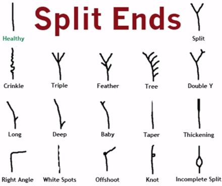 The 16 types of split ends Castor Oil Eyebrows, Hair Growth Charts, Stop Hair Breakage, Split Hair, Natural Hair Tips, Hair Breakage, Split Ends, Hair Pictures, Hair Journey