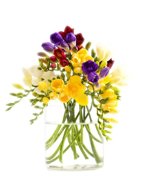 Freesia Bouquet, Flowers Bunch, Freesia Flowers, Very Beautiful Flowers, Birthday Wishes Flowers, Large Flower Arrangements, Flower Fragrance, Orchid Arrangements, Gum Paste Flowers