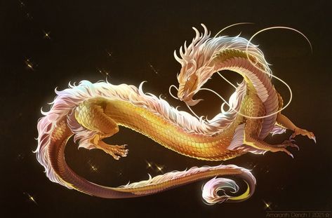 Celestial Dragon, Dragon Project, Elemental Dragons, Eastern Dragon, Asian Dragon, Cool Dragons, Dragon Tattoo Designs, Beautiful Dragon, Dragon Pictures