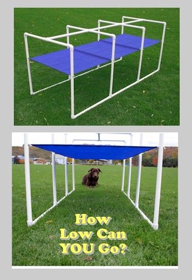 Crawl Tunnel Dog Agility Equipment, Portable Dog Kennels, Dog Agility Course, Diy Dog Kennel, Agility Training For Dogs, Dog Playground, Dog Enrichment, Agility Training, Closed For Maintenance