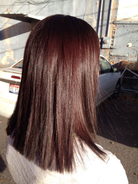 Brown Hair Shoulder Length Straight, Dark Chocolate Brown Hair, Brown Hair Shades, Chocolate Brown Hair Color, Brown Ombre Hair, Chocolate Hair, Red Brown Hair, Hair Color Light Brown, Brown Hair With Blonde Highlights