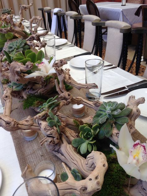 Succulent drift wood cymbidium centerpiece with burlap and candles Driftwood Wedding Centerpieces, Driftwood Wedding, Succulent Wedding Centerpieces, Driftwood Centerpiece, Succulent Centerpiece, Driftwood Candle, Wood Centerpieces, Succulent Centerpieces, Lakeside Wedding