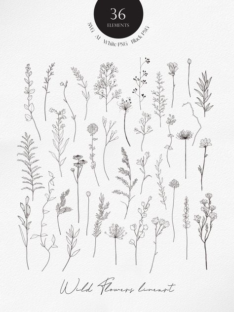 Make beautiful products with beautiful wild flowers drawn in line art.Make beautiful products with beautiful wild flowers drawn in line art. Wild Flower Svg, Flower Vine Tattoos, Flowers Drawn, Flower Bouquet Drawing, Flower Bouquet Tattoo, Wildflower Drawing, Bouquet Tattoo, Wildflower Tattoo, Flower Line Drawings