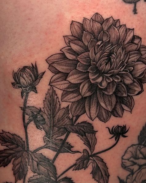 Dahlia Back Tattoo, Dahlia Flower Tattoo, Dahlia Flower Tattoos, Dahlia Tattoo, Los Angeles Tattoo, Black Dahlia, Botanical Tattoo, Creative Freedom, Tat Ideas