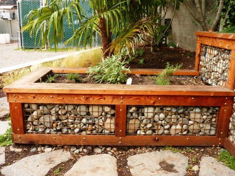 gabion raised bed - Google Search Raised Planters, Raised Vegetable Gardens, Gabion Wall, Raised Planter, Backyard Living, Garden Boxes, Desert Landscaping, Raised Beds, Lawn And Garden