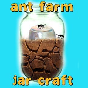 How to Make an Ant Farm Jar and Watch an Ant Colony Build Mazes Ant Colony, Ant Farm, Stem Ideas, Ant Farms, Kindergarten Science, Work Spaces, Preschool Science, Living Things, Homeschool Science