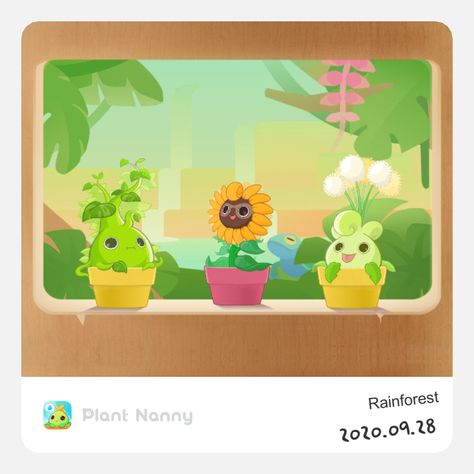 Check out my greenhouse and all the adorable plants living in there! https://plantnanny.app/?ref=photo-shareing #plantnanny #plantnannyapp Plant Nanny, Plant App, Rainforest Plants, Kids App, Data Recovery, All About Plants, Best Photo, Professional Photo, Arts And Crafts For Kids