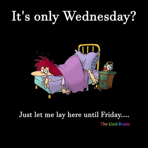 How is it only Wednesday? Wednesday Humor, Cool Beans, Funny Work, Work Memes, Work Humor, Me When, The Cool, Pug, Let It Be