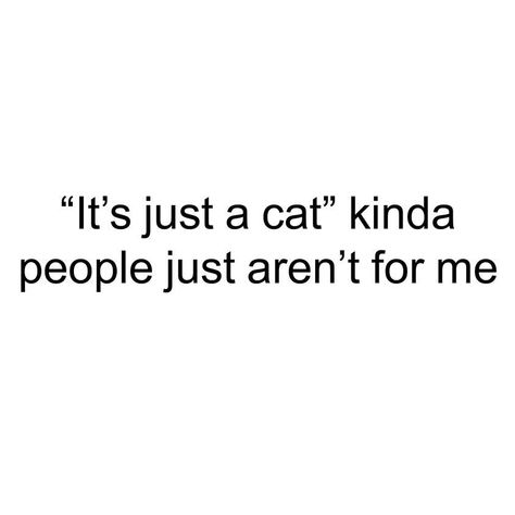 Cat Person Quotes, Cat Lover Quote, Colorful Hairstyles, My Type, Cat Facts, Cat Quotes, Crazy Cat Lady, Quote Aesthetic, Pretty Quotes