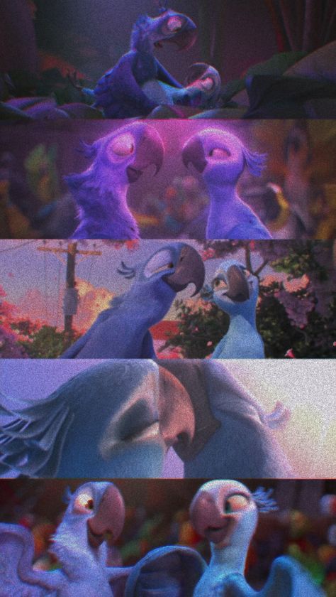 Rio Movie Aesthetic Wallpaper, Rio The Movie Aesthetic, Rio Birds Movie, Disney Music Aesthetic, Blue And Jewel Rio, Rio Wallpaper Iphone, Rio Movie Aesthetic, Rio Movie Wallpapers, Rio Wallpaper