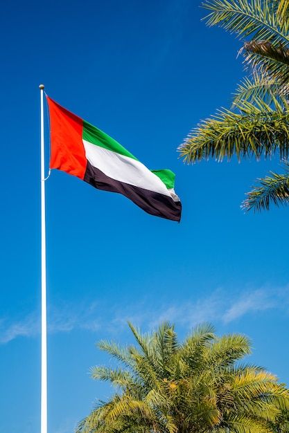 Photo a united arab emirates flag flying... | Premium Photo #Freepik #photo #emirates #uae #abu-dhabi #dubai Dubai Flag, United Arab Emirates Flag, Emirates Flag, Uae Flag, Uae National Day, Abu Dhabi Grand Prix, Flag Photo, Travel Locations, Dream Holiday