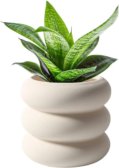 Amazon.com : SANDYBAYTAS Ceramic Plant Pot Indoor, 4.5 Inch Beige Unglazed Flower Pot with Drainage Hole, Small Bubble Design Ceramic Planter for Home & Office Decor : Patio, Lawn & Garden Small Planters Indoor, Amazon Flowers, Plant Pot Indoor, Small Terracotta Pots, White Ceramic Planter, Ceramic Planter Pots, Bubble Design, Beige Ceramic, Terracotta Plant Pots