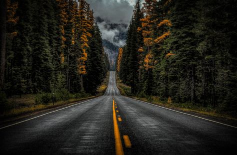 Nature Desktop Wallpaper, Nature Desktop, Image Spiderman, Beautiful Roads, Landscape Photography Tips, Forest Road, Landscape Paintings Acrylic, Landscape Photography Nature, Photography Wallpaper