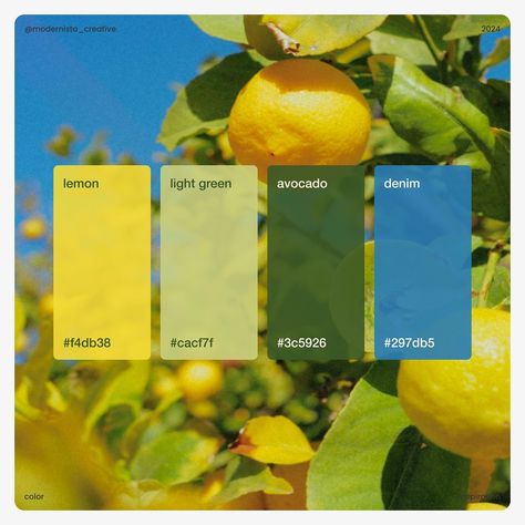 Lemon Yellow Palette, Lemon Branding Design, Lemon Palette, Lemon Color Palette, Lemon Branding, Bouquet Of Daisies, Summer Color Palettes, Green Branding, Lemon Color