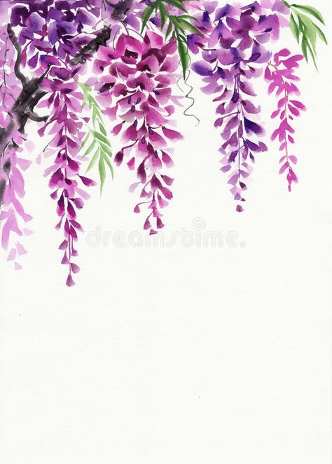 Wisteria blossom royalty free illustration Lukisan Pokok, Wall Murals Painted, Drip Painting, China Art, Flower Art Painting, Free Vector Art, Wisteria, Original Watercolor Painting, 그림 그리기