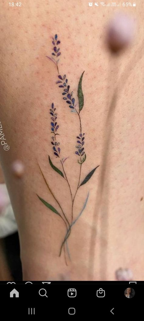 Heather Tattoo Flower, Heather Flower Tattoo, Heather Tattoo, Heather Flower, Dandelion Tattoo, Back Tattoo, Art Drawings Sketches, Flower Tattoos, Tattoos And Piercings