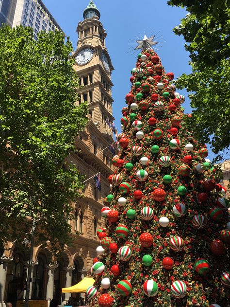 Merry Christmas from Sydney Christmas Australia Aesthetic, Christmas In Australia Aesthetic, Aussie Christmas Aesthetic, Australian Christmas Aesthetic, Sydney Christmas, Christmas Australia, Australia Aesthetic, Aussie Summer, Xmas Vibes