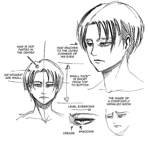 cosmocall: “ Translated a few notes on Levi’s mug from Shingeki no Kyojin: OUTSIDE Kou. “ *Air intakes (エアインテーク) were a new concept to me; they’re where the bangs stick up slightly from the hairline... Levi Ackermann, Snk Cosplay, Captain Levi, Attack On Titan Levi, Attack On Titan Art, Anime Drawings Tutorials, Levi Ackerman, Drawing Lessons, Attack On Titan Anime