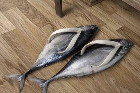 Chaos Core, Fish Flip Flops, Cursed Pictures, Cursed Stuff, Funny Shoes, Cursed Things, Cursed Image, Fishing Photos, Cursed Memes