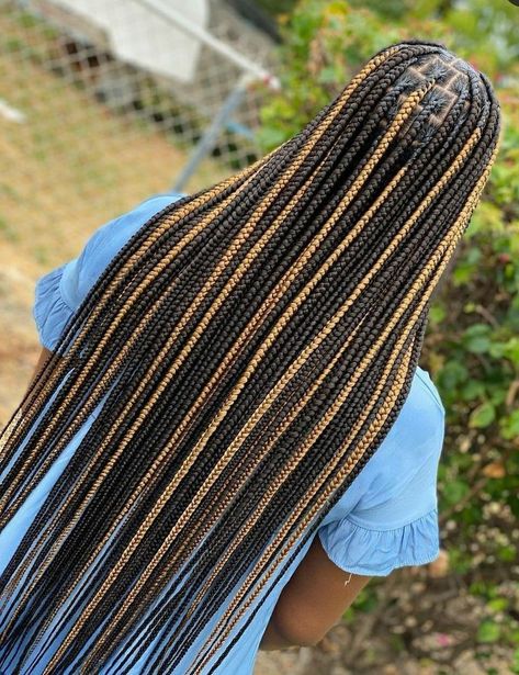 Trending Hair Styles 2022 Braids, Peak A Boo Braids Brown, Cool Braided Hairstyles For Long Hair, Braids 2023 Trends, Small Knotless Color, 2023 Braid Hair Trends For Black Women, Hair Color Ideas For Braids, Trending Braids 2023, Two Color Braids