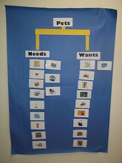 Pets: needs/wants. To use with Unit 1 What Do Pets Need Preschool, Preschool Pets Unit, Preschool Pets, Class Pets, Pet Study, Creative Curriculum Preschool, Classroom Pets, Pet Theme, Pets Preschool Theme