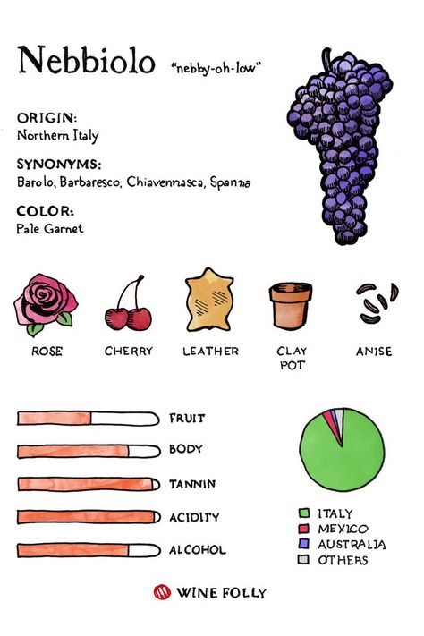 Nebbiolo Wine, Barolo Wine, Wine Folly, Wine Knowledge, Wine Education, Wine Event, Chenin Blanc, Wine Guide, Wine Case