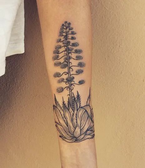 Agave Tattoo Meaning & Cool Designs - TattoosWin Agave Plant Tattoo, Erica Flower, Agave Tattoo, Pine Tattoo, Mum Tattoo, Mom Daughter Tattoos, Tattoo 2023, Magnolia Tattoo, Cool Half Sleeve Tattoos