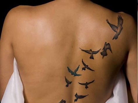 Flock of birds tattoo on the back Freedom Symbol Tattoo, Divorce Tattoo, Free Bird Tattoo, Birdcage Tattoo, Freedom Tattoos, Cage Tattoos, Tattoo Bird, Spirit Tattoo, Different Tattoos