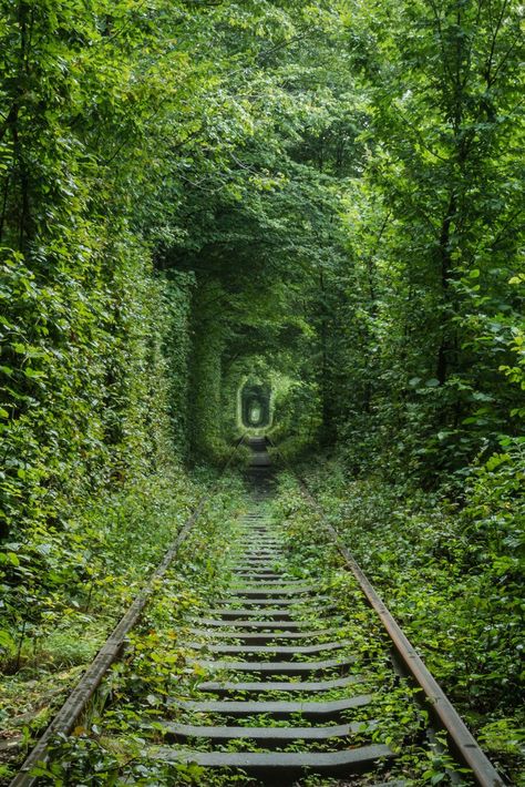 Tree Tunnel, Apocalypse Aesthetic, Tunnel Of Love, Forest Wall Mural, Train Tracks, Alam Semula Jadi, Post Apocalyptic, Magical Places, Abandoned Places