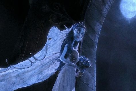 Corpse Bride Screencaps, Corpse Bride Pc Wallpaper Hd, Emily Corpse Bride, Dead Bride, Tim Burton Corpse Bride, Tim Burton Films, Tim Burton Movie, Weird Images, 31 Days Of Halloween