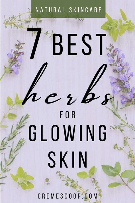 Herbs have many beauty and health benefits. Discover the best herbs for beautiful skin and get naturally glowing skin in no time! #diyskincare #naturalskincare #antiaging Japanese Beauty Secrets, Naturally Glowing Skin, Toxic Skincare, All Natural Skin Care, Skin Glowing, Beauty And Health, Herbs For Health, For Glowing Skin, Best Essential Oils