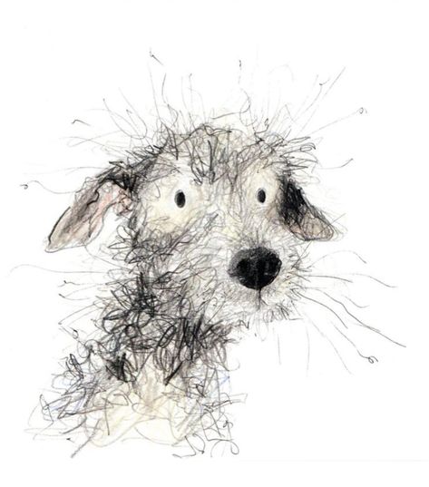 Collie Drawing, Catherine Rayner, Different Types Of Dogs, Animal Illustration Art, Scribble Art, Bearded Collie, Dog Sketch, Chicago Usa, Canine Art