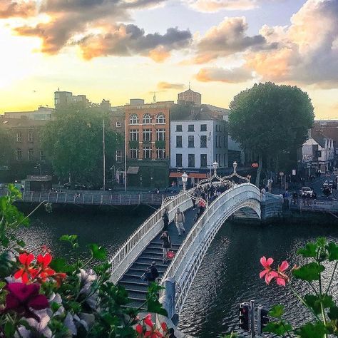 Did you know the Ha’penny Bridge was built in 1816 to replace leaky boats that ferried people across the Liffey at that point, and the toll… Sky Bridge, City Sky, Travel Business, Dublin Ireland, Business Travel, Luxury Travel, Corporate Events, Dublin, Trip Planning