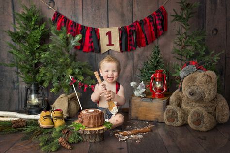 Lumberjack Cake Smash, Buffalo Plaid Birthday, Lumberjack Cake, Lumberjack Birthday Party, Cake Smash Theme, Baby Birthday Photoshoot, Lumberjack Birthday, Boys 1st Birthday Party Ideas, Baby Boy 1st Birthday Party