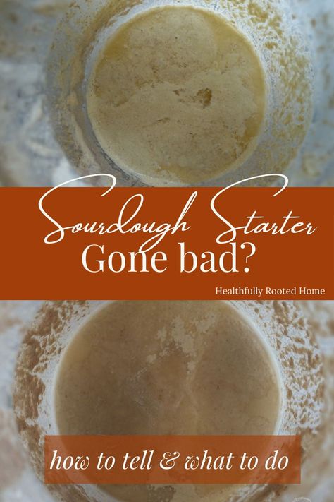 SO HELPFUL! I was going to throw my starter away! Wondering if your sourdough starter has gone bad? Wondering why your sourdough starter smells gross? Asking yourself why theres liquid on the top of your starter and why it looks black? This post answers all your sourdough starter questions and concerns. This post will teach you how to revive a bad sourdough starter and when your starter is beyond repair. Quick Clean Eating Recipes, Sourdough Desserts, Fermented Recipes, Sourdough Pizza Crust, Sourdough Bread Starter, Dough Starter, Starter Recipe, Discard Recipes, Beyond Repair