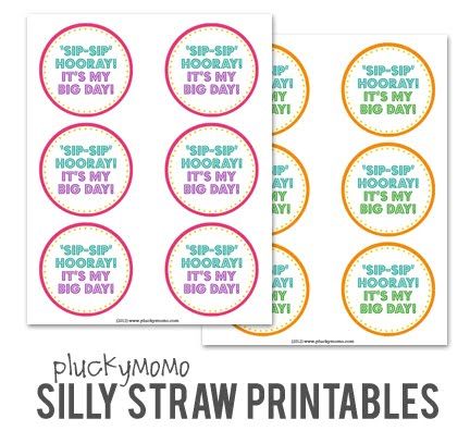 Silly Straw Birthday Printables- Sip, Sip Hooray! It's My big day! Crazy Straw Birthday Printable, No Candy Valentines, Silly Straws, Classroom Birthday Gifts, Nutcracker Season, Birthday Straws, Straw Valentine, Candy Valentines, Primary Presidency