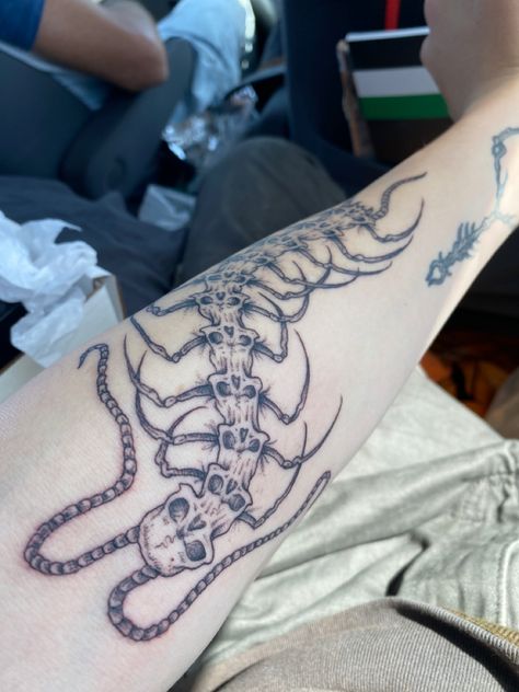 Skull Centipede Tattoo, Centipede Tattoo, Tattoo Inspo, Skull Tattoo, Tattoo Ideas, Tattoos