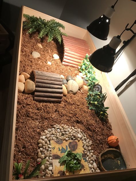 made for small russian tortoise Inside Tortoise Enclosure, Tortoise Home Ideas, Cherry Head Tortoise Enclosure, Turtle House Ideas, Russian Turtle Habitat, Tortoise Toys Diy, Small Tortoise Habitat Indoor, Small Tortoise Enclosure, Tortoise Cage Ideas