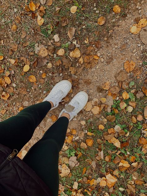 fall, leaf, hike, walk, chilly Walking In Fall Aesthetic, Outdoor Walking Aesthetic, Fall Walks Aesthetic, Walking Asthetic Pic, Fall Workout Aesthetic, Daily Movement Aesthetic, Fall Fitness Aesthetic, Fall Walk Aesthetic, Daily Walks Aesthetic