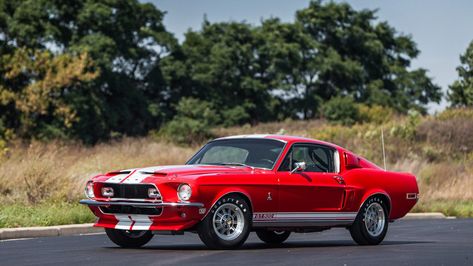 1968 Shelby GT500 Fastback | S115.1 | Chicago 2014 68 Mustang Fastback, Ford Garage, Shelby Cobra Replica, 68 Mustang, Cobra Replica, Car Stripes, Ford Mustang 1964, 1965 Shelby Cobra, Gt 500