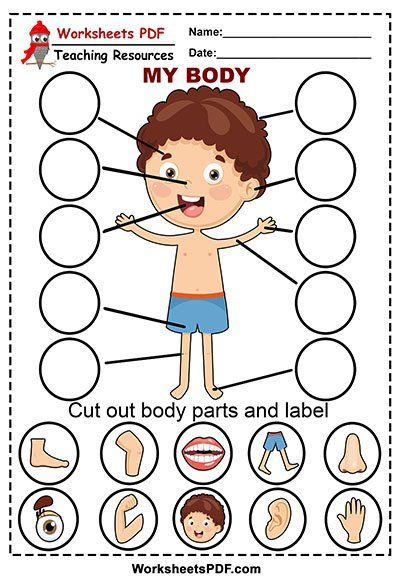 Cut Out Body Parts 1 Healthy Body Theme Preschool Ideas, Preschool Body Theme, Body Parts Preschool Activities, Body Parts For Kids, Human Body Worksheets, Body Preschool, Body Parts Preschool, Cut And Paste Worksheets, Bahasa Melayu