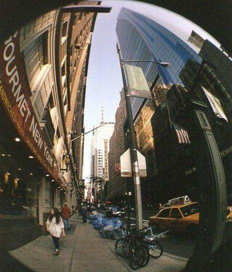 Fish Eye, Walking, Fish, New York