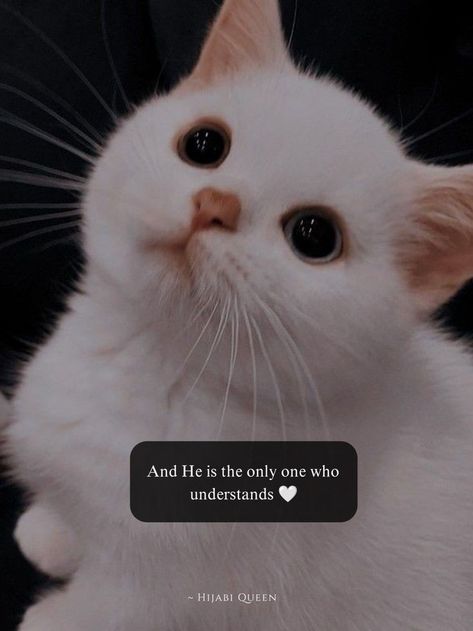 Islamic Wedding Quotes, Inspirational Rap Quotes, Inspirational Relationship Quotes, Muslim Photos, Comfort Quotes, Best Quran Quotes, World Quotes, Cute Quotes For Life, Cute Little Kittens