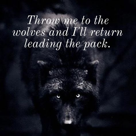 Throw me to the wolves...🐺 Throw Me To The Wolves Quote Tattoo, Throw Me To The Wolves Quote, Rule Of Wolves Quotes, Wolf Sayings, Wolf Inspiration Quotes, Throw Me To The Wolves, Quote Tattoo, Dragon King, Wolf Quotes