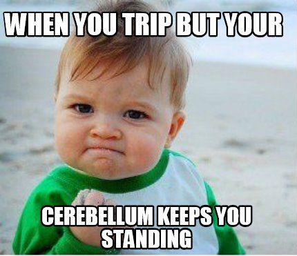 Meme Maker - when you trip but your cerebellum keeps you standing Meme Maker! Accounting Jokes, Taxes Humor, Love Memes For Him, Success Kid, Accounting Humor, Image Meme, Love You Meme, Aviation Humor, Memes For Him