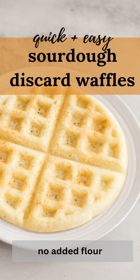 sourdough discard waffle on a plate Discard Waffle Recipe, Sourdough Discard Waffles, Discard Waffles, Sourdough Breakfast, Sourdough Waffles, Sourdough Starter Discard Recipe, Easy Sourdough, Waffle Recipe, Sourdough Discard