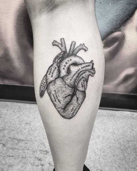 50 Inspiring Heart Tattoos To Get For Your Next Ink | Inspirationfeed Acab Tattoo, Anatomical Tattoos, Ems Tattoos, Anatomy Tattoo, Anatomical Heart Tattoo, Medical Tattoo, Guitar Tattoo, Heart Tattoo Designs, Calf Tattoo